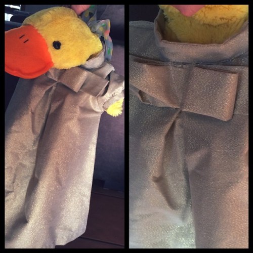 10707011_1549959311889934_537834951_n