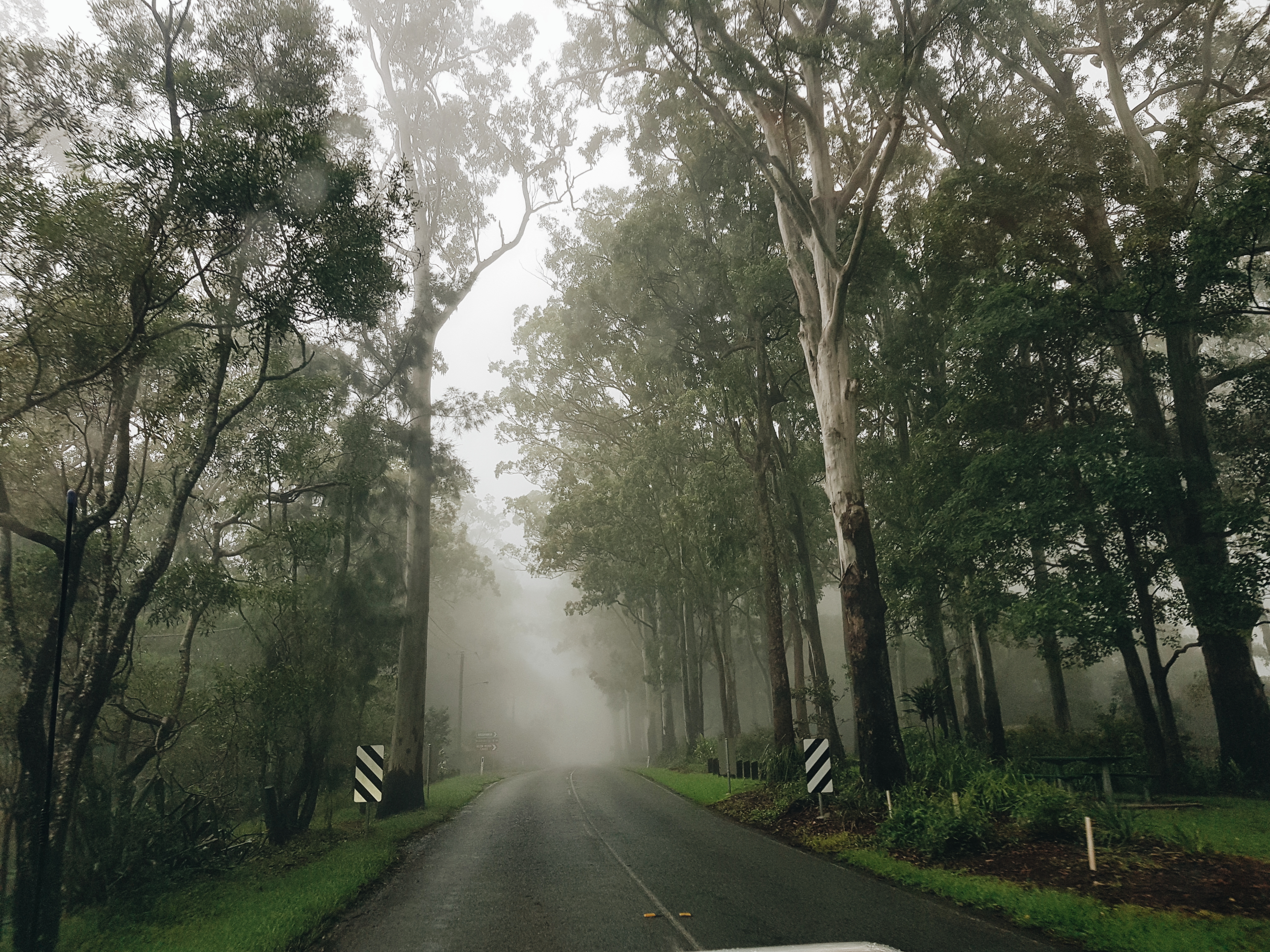 2019-03-16 09.46.51 1.jpg