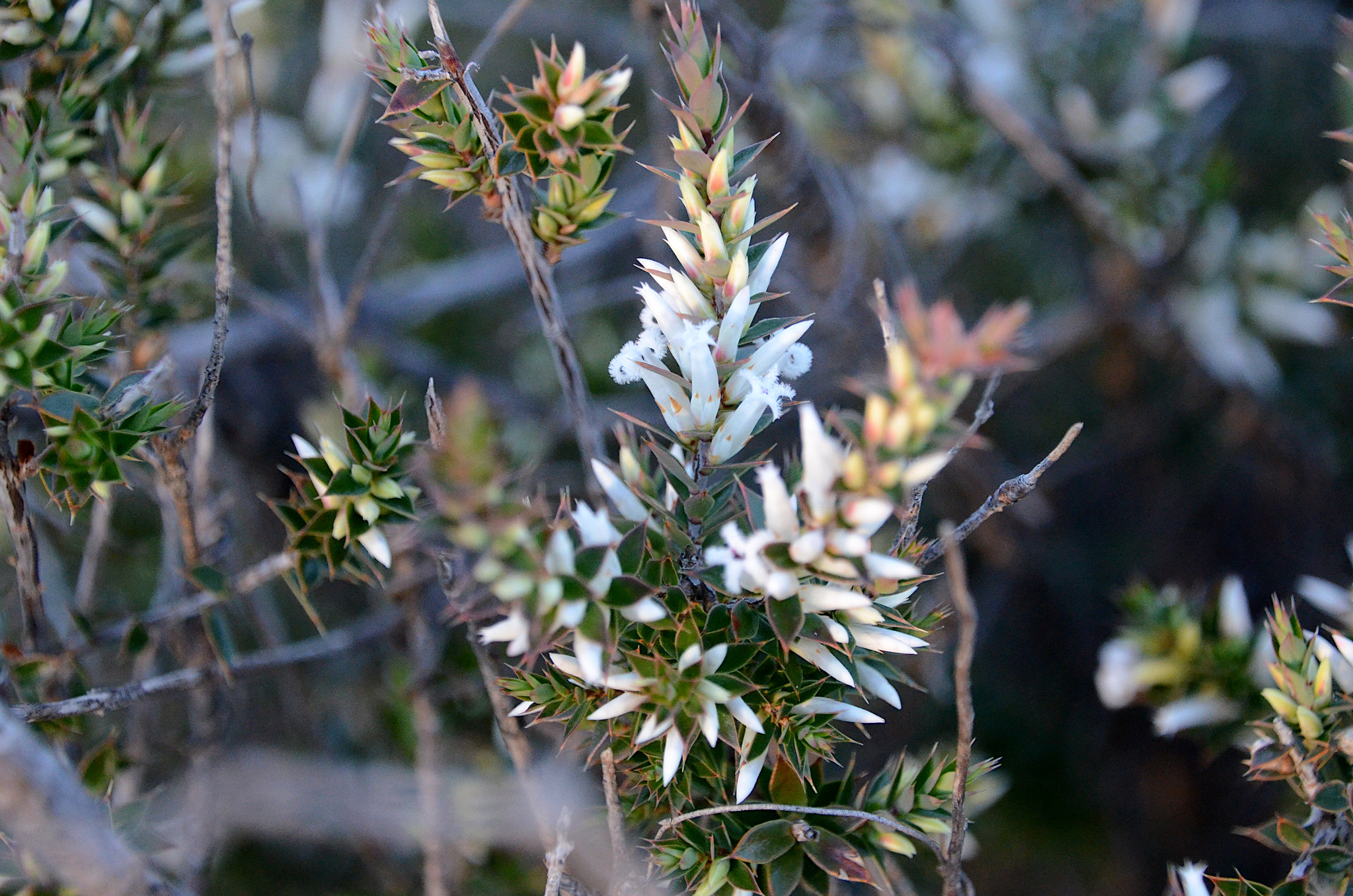 48288484617_adc904e729_k