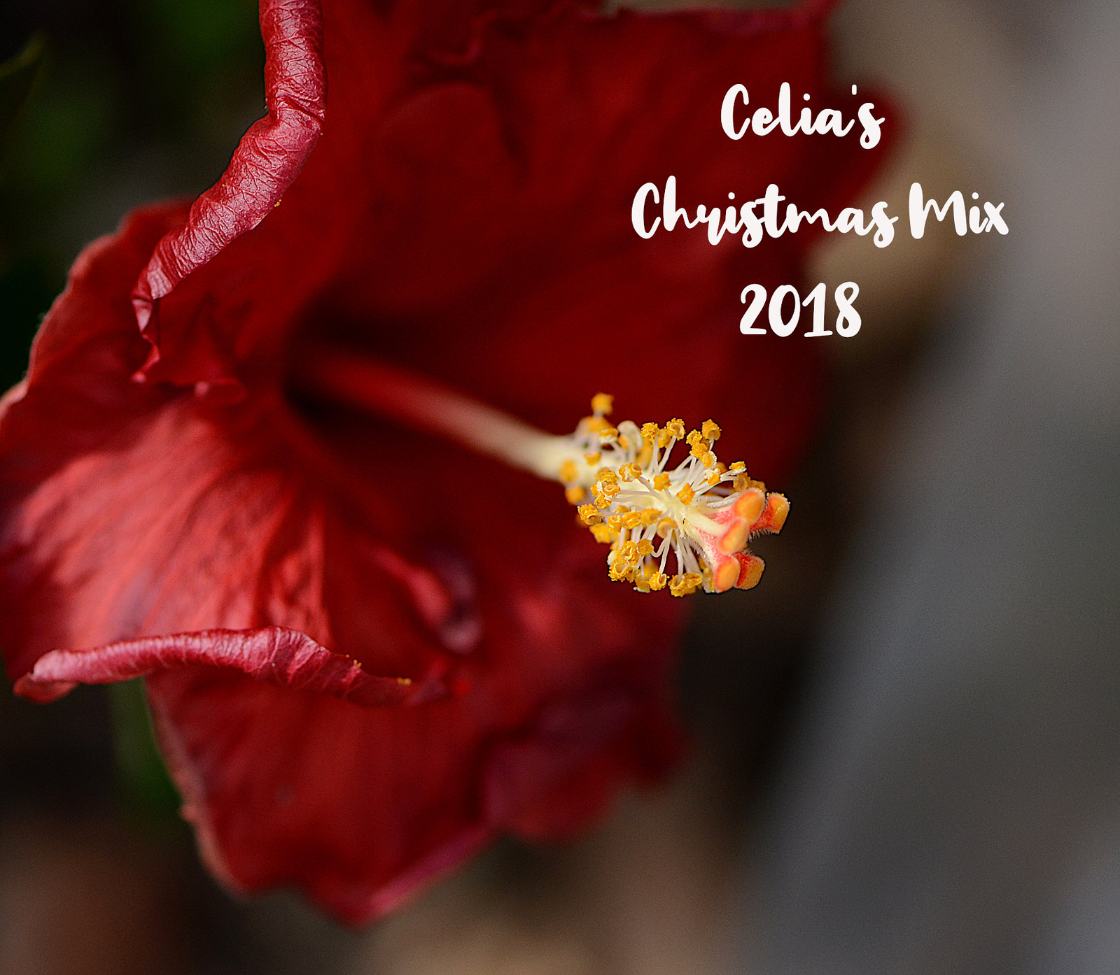 32256354708_b33c2f5396_h