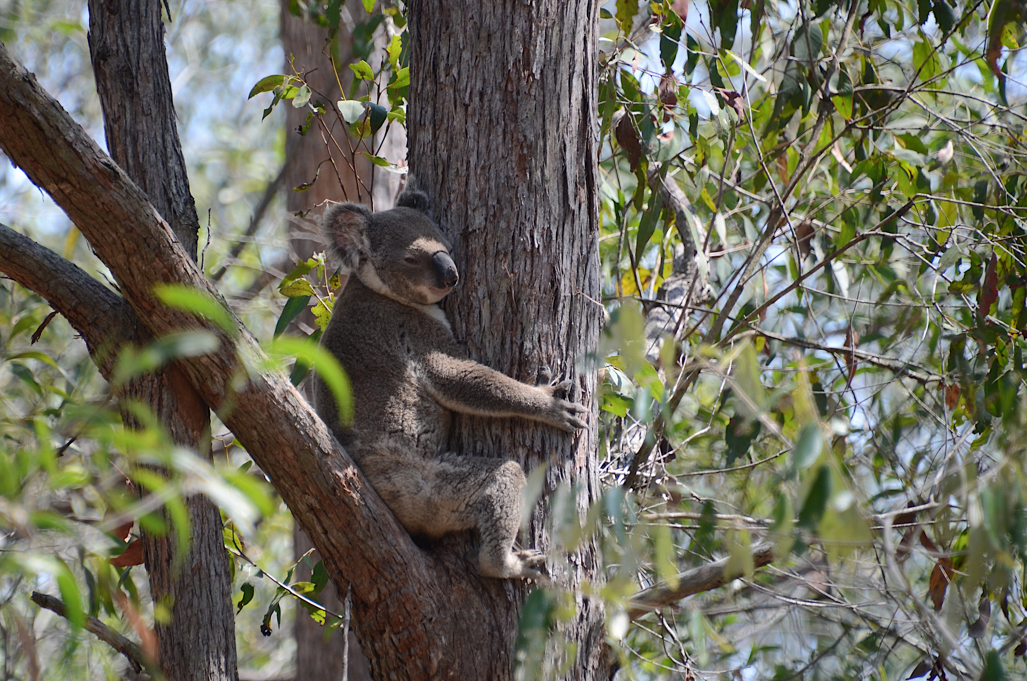 49071400756_74b687e59d_k