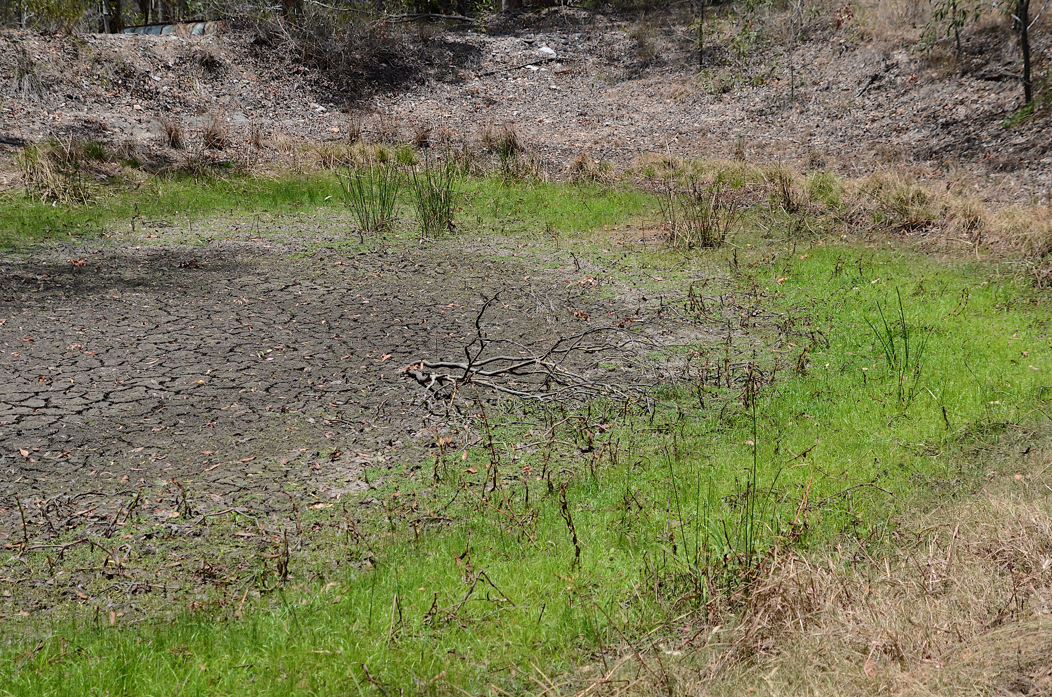 49107970417_66ffb10a78_k